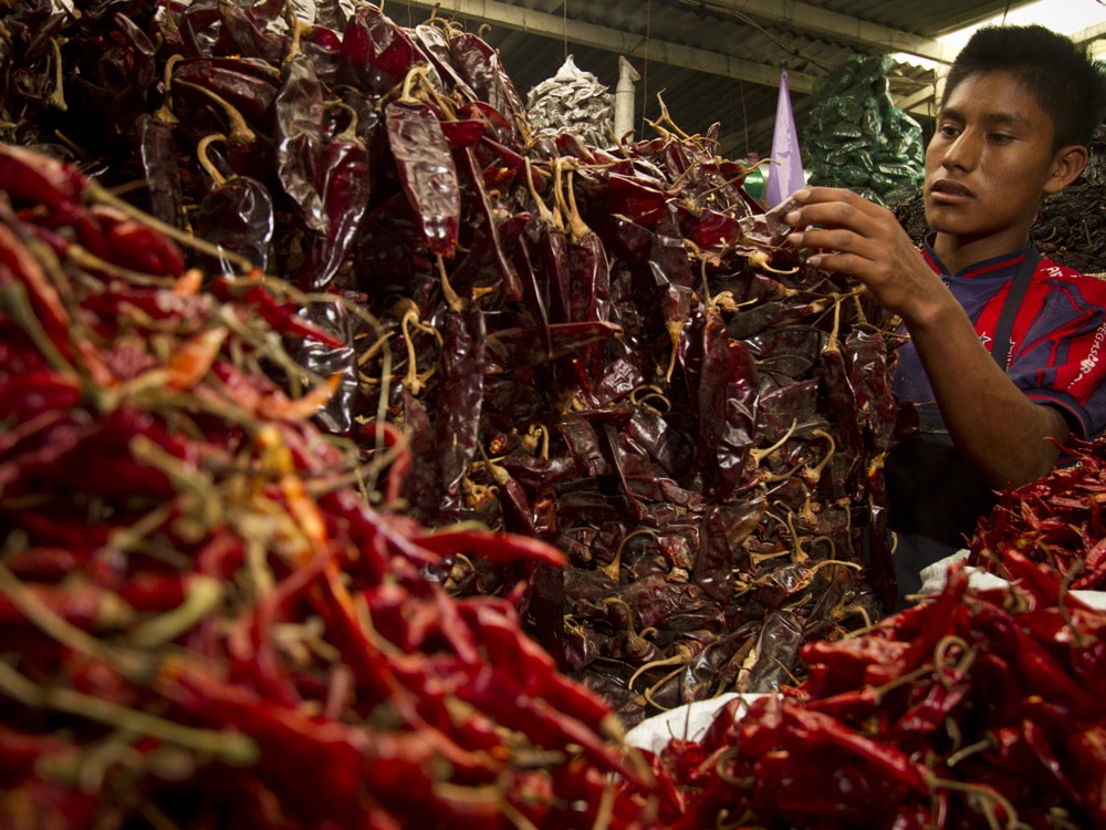 Mexican Chilli Peppers