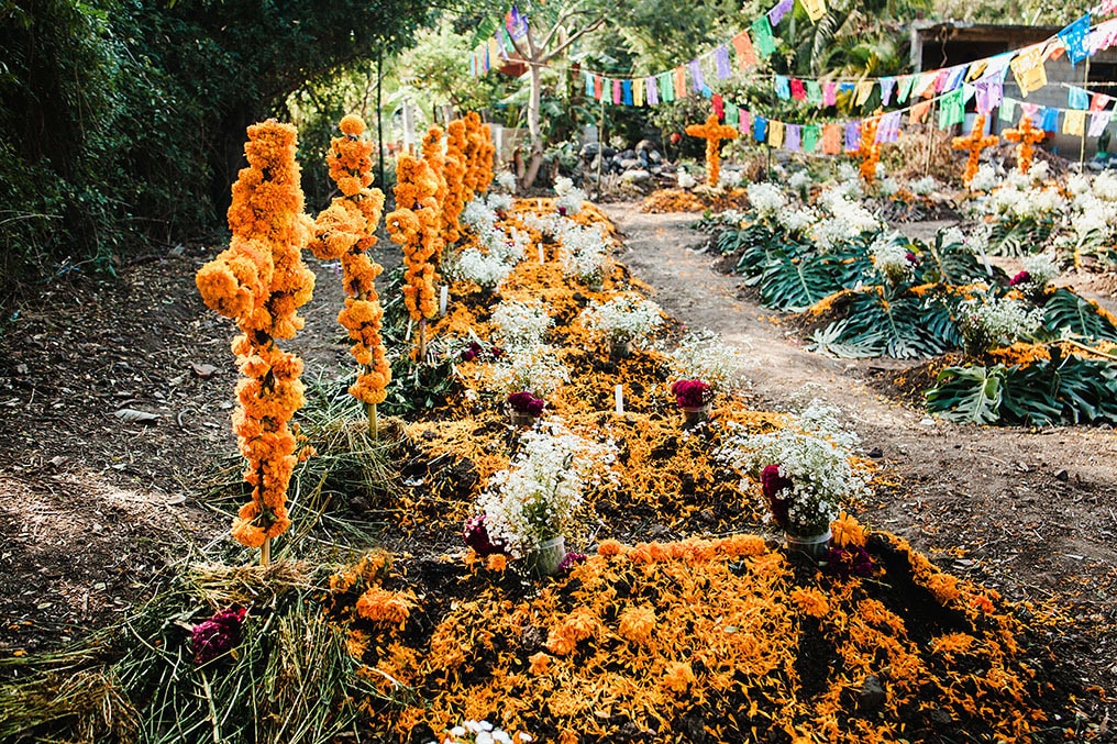 Day of the Dead places to visit