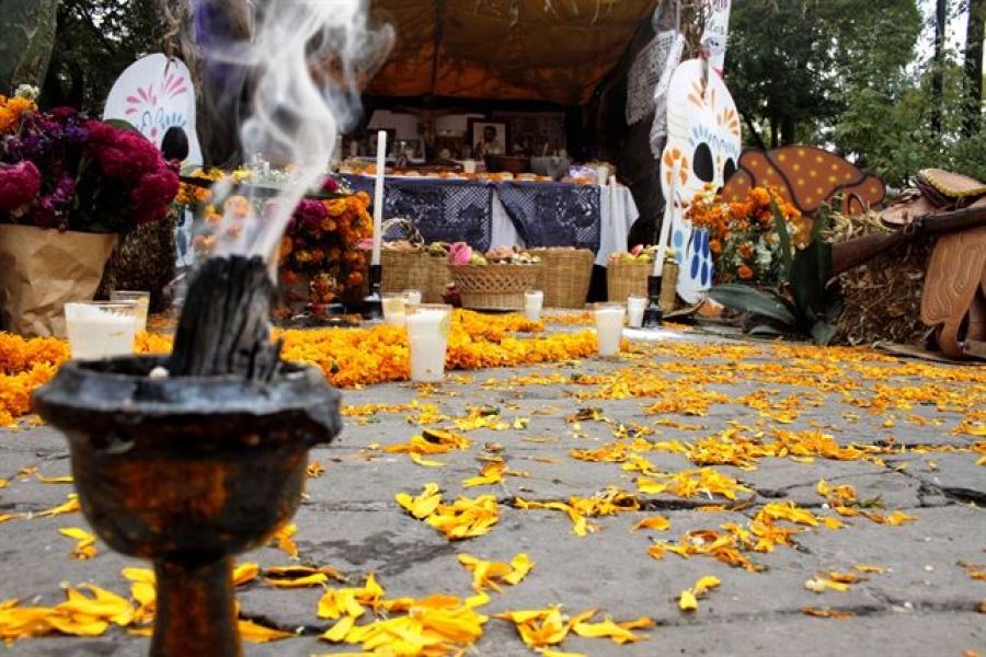 Day of the Dead alter